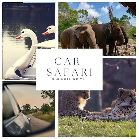 Designer In Hotspot Location W Fast Wi-fi * تيلبورغ