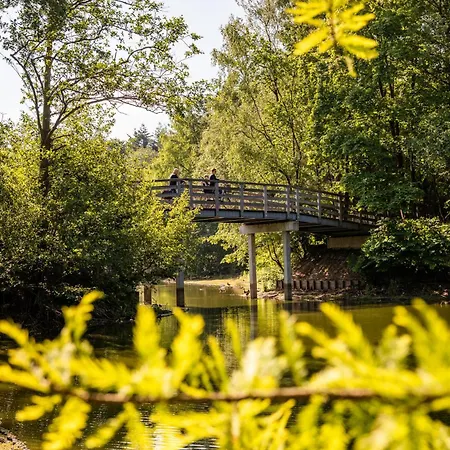 Designer In Hotspot Location W Fast Wi-fi 提耳堡