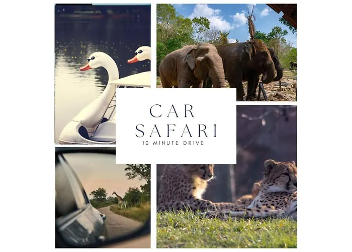 Designer In Hotspot Location W Fast Wi-fi * Tilburg